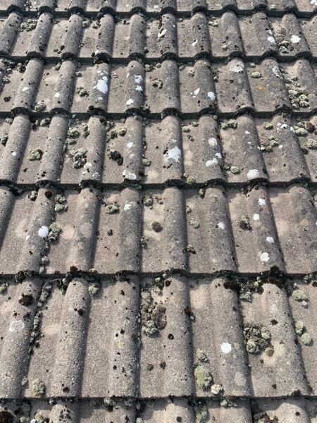 Concrete interlocking tiles on the roof, covered in lichen and moss