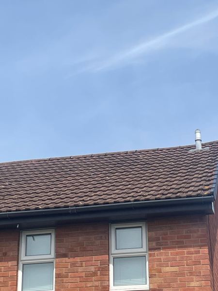 The finished roof from the ground, gable edge on the right