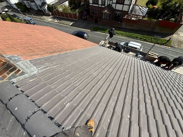 Grey tiles meeting the neighbouring red roof at the party line