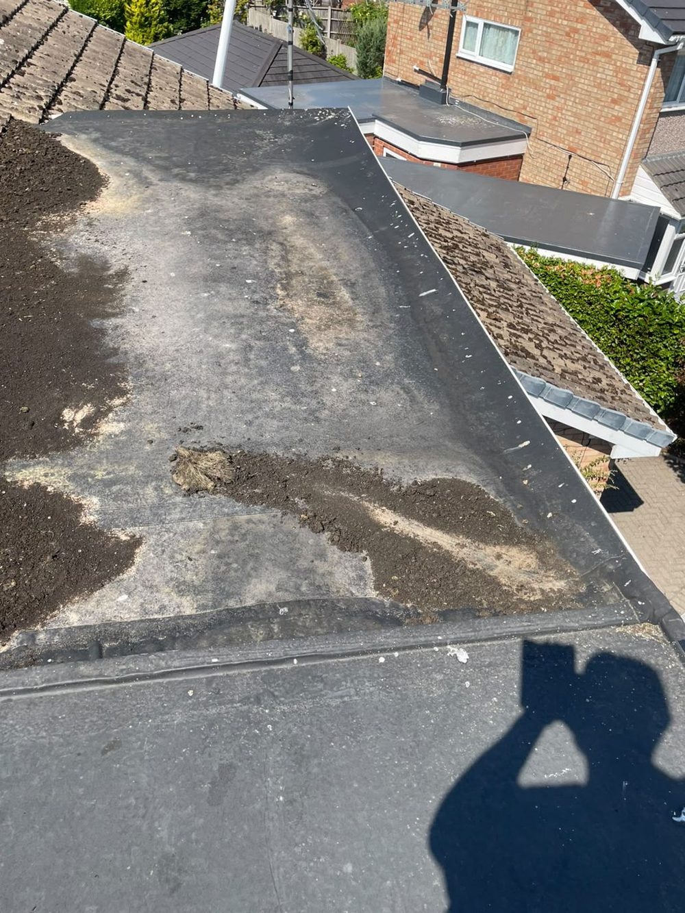 An older felt flat roof, weathered and holding dirt and organic growth across the field