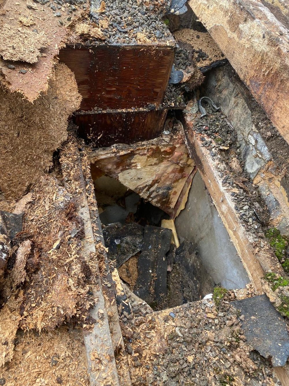 Water-blackened timber and a hole straight through a failed flat roof deck